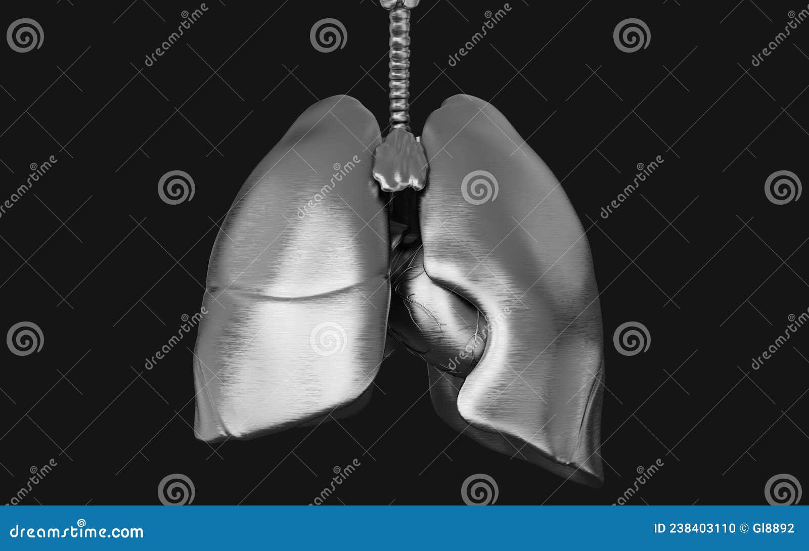 the humanÃ¢â¬â¢s lung iron and respiratory system